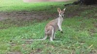 Really remote park - Carnarvon