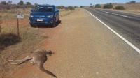 780 km to Gilgandra