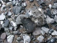 Isle of Vilm - 