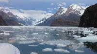 Glacier Amalia - Fjord Calvo