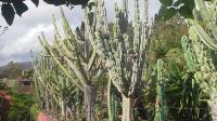 Last day on Madeira