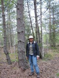 Trekking in Sumava (National Park)