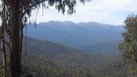 Around Mt Kosciuszko - Tumbarumba - Wagga Wagga