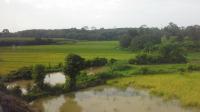 12 hours in the Indonesian train
