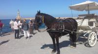Chania - Crete   - October 14th
