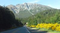Snowy peaks, flowering roads, national park...