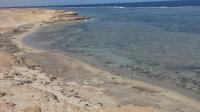 Along the coast
