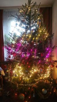 Merry Christmas dear Friends!