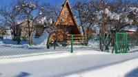 Winter Wonderland