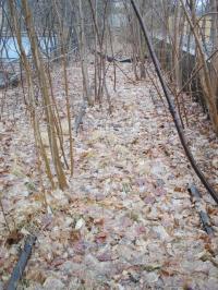 Abandoned Railway Tracks