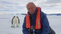 Emperor penguins are waiting!