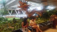 Singapore online arrival card?