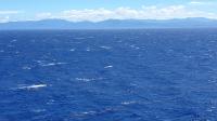Sailing blue seas...